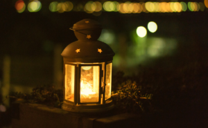 Krokuswiesen Herbstprojekt